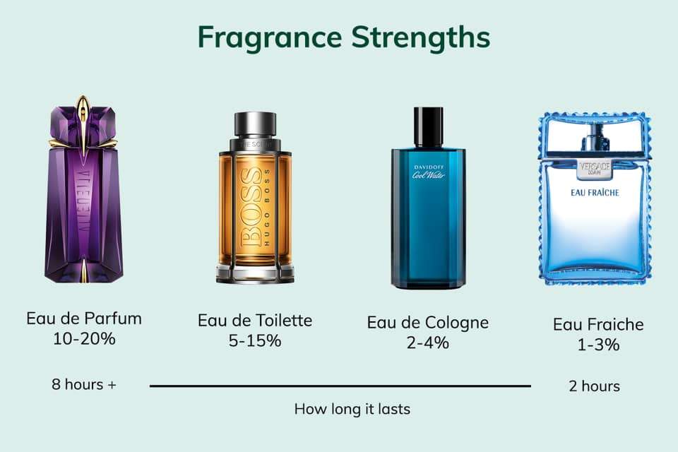 Comparison of Types of Fragrances | FragranceBaba.com